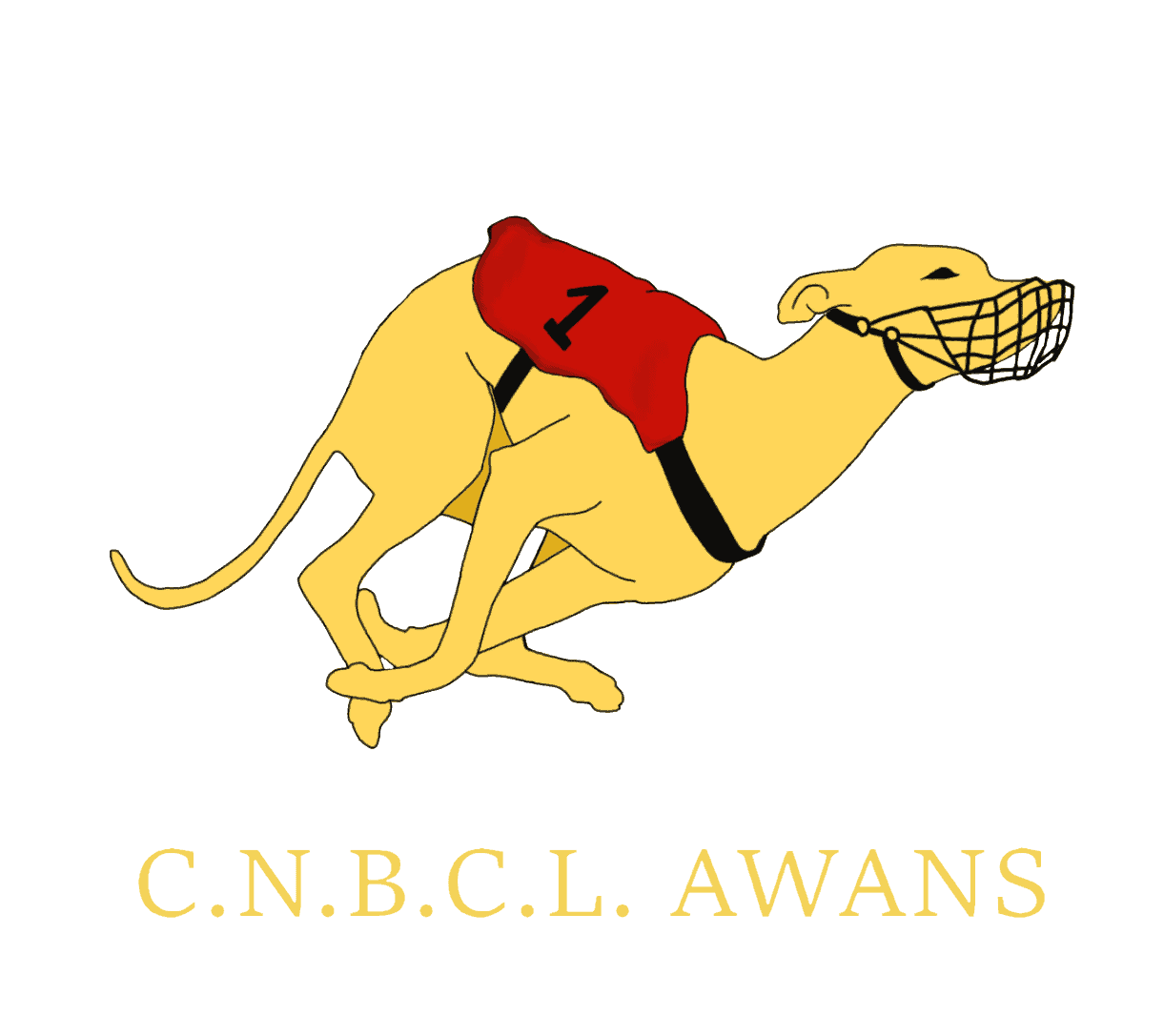 CNBCL Awans